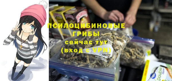 МДПВ Алзамай