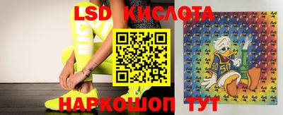 MDMA Новодвинск