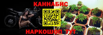 MDMA Новодвинск