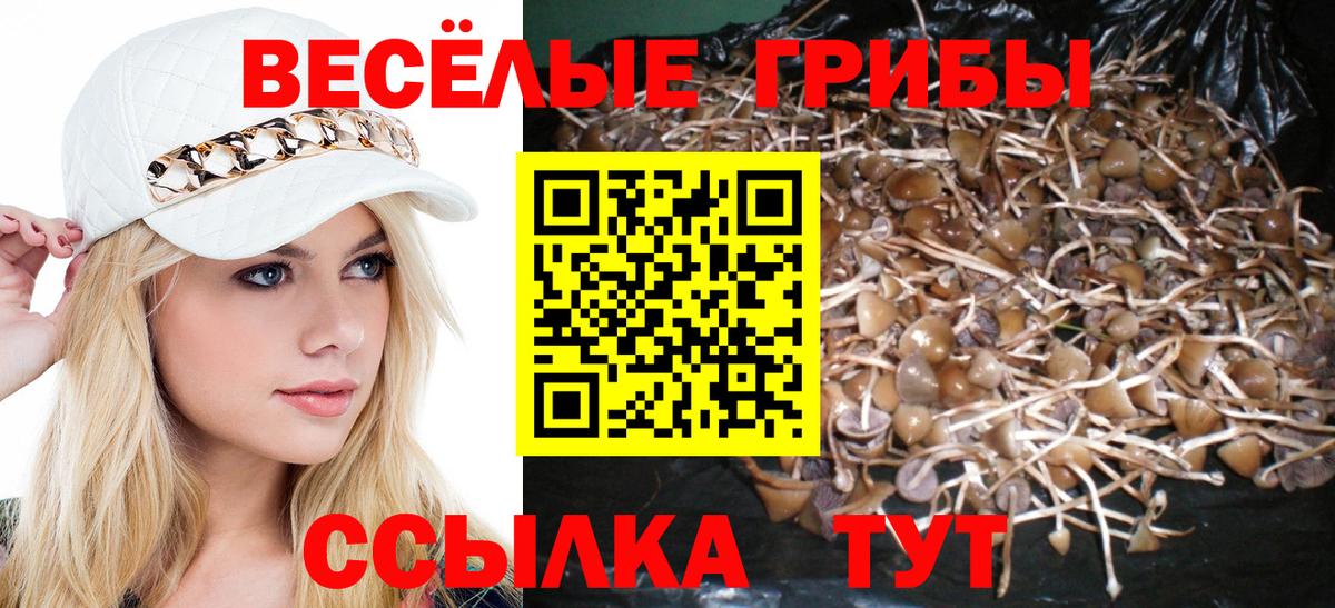 Галлюциногенные грибы мухоморы Астрахань
